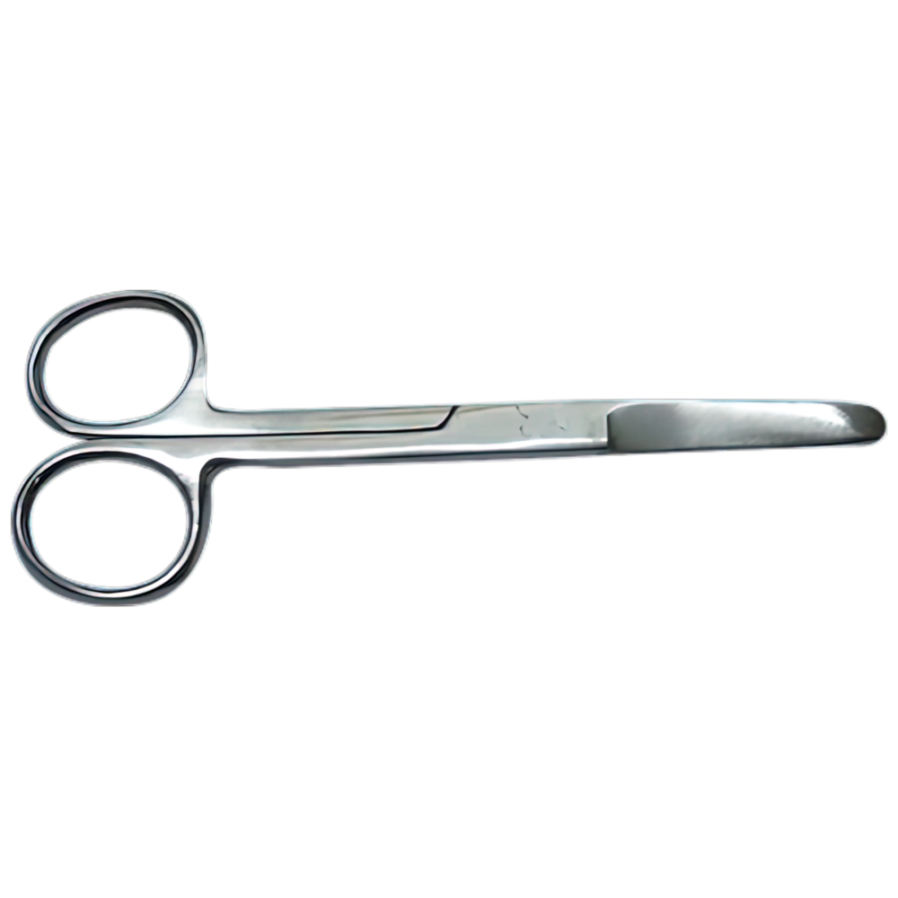 Stainless Blunt/Blunt Scissors 13cm