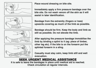 Snake Bite Instruction Card 15 x 21cm - 560038 , 