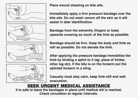 Snake Bite Instruction Card 15 x 21cm - 560038 by Alpha First Aid, 