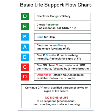 AEROGUIDE CPR Flow Chart Card 10 x 14cm - CWD001 by Aero Healthcare,