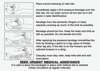 Snake Bite Instruction Card 15 x 21cm - 560038 by Alpha First Aid, 