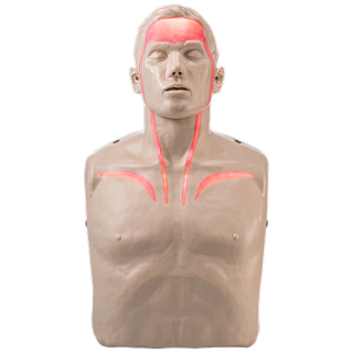BRAYDEN Pulse CPR Manikin (With Lights) - IM13-R by BRAYDEN, 