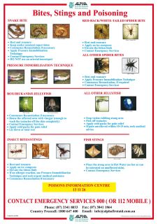 Bites & Stings Poster A3 Laminated - POS010 ,