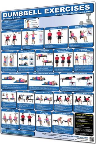 Dumbbell Exercises - Shoulder & Arms Poster Laminated - 400327 , 