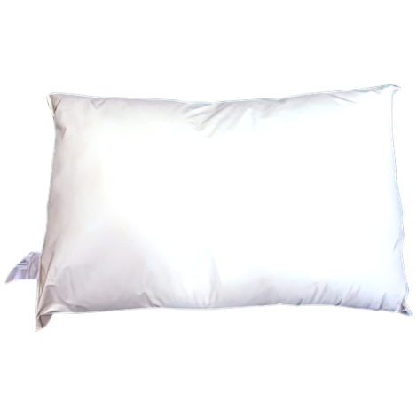 Wipeclean Medical Pillow 63 x 45cm - AR1008 , 
