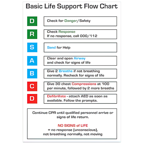 AEROGUIDE CPR Flow Chart Card 10 x 14cm - CWD001 , 