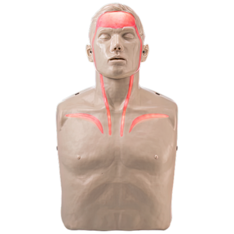 BRAYDEN Pulse CPR Manikin (With Lights) - IM13-R , 