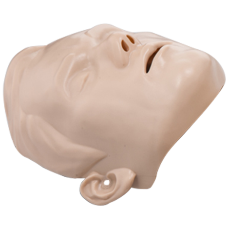 BRAYDEN Manikin Face Skin - Adult - IM13-SA01 , 