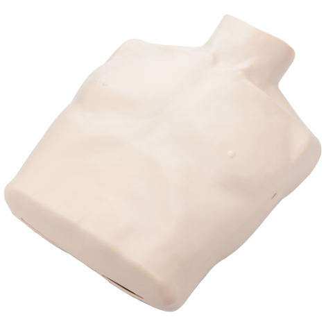 BRAYDEN Manikin Body Skin - Adult - IM13-SA02 , 