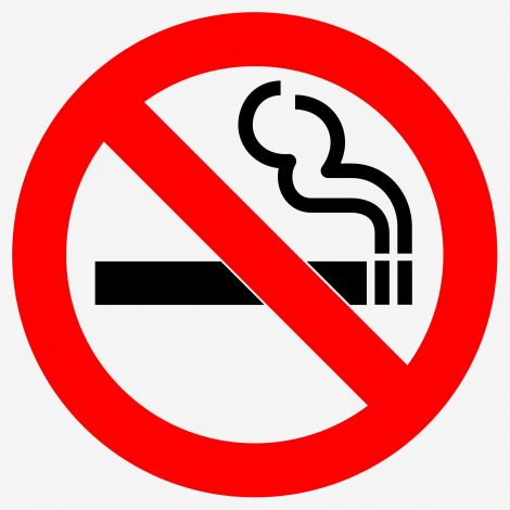 Sign - Smoking Prohibited 250 x 300mm P S/A - RS4C , 