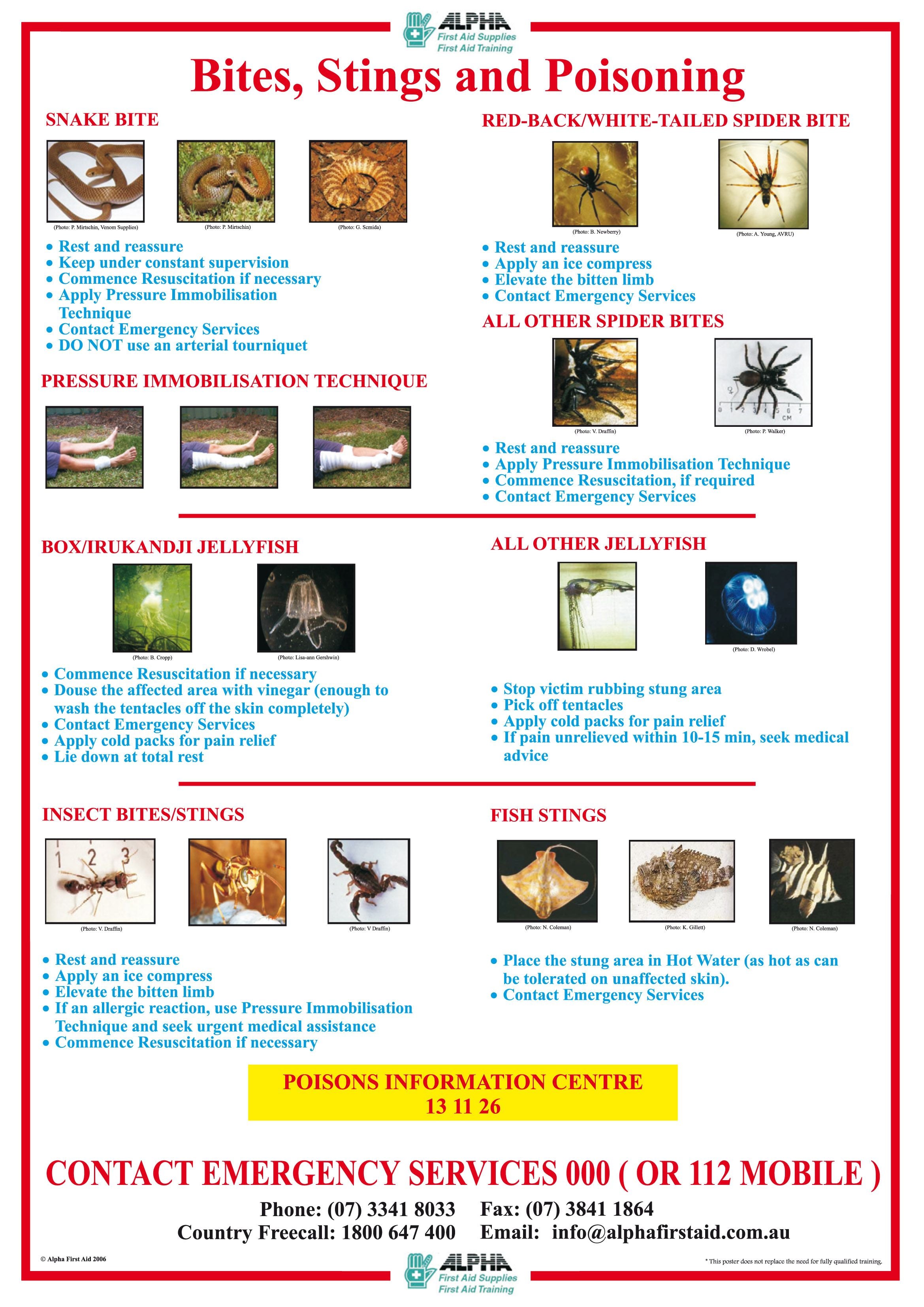 Bites and Stings Poster A3 Laminated